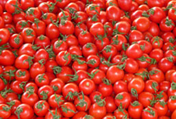 持续发卡平台的在线电话轰炸云呼死你